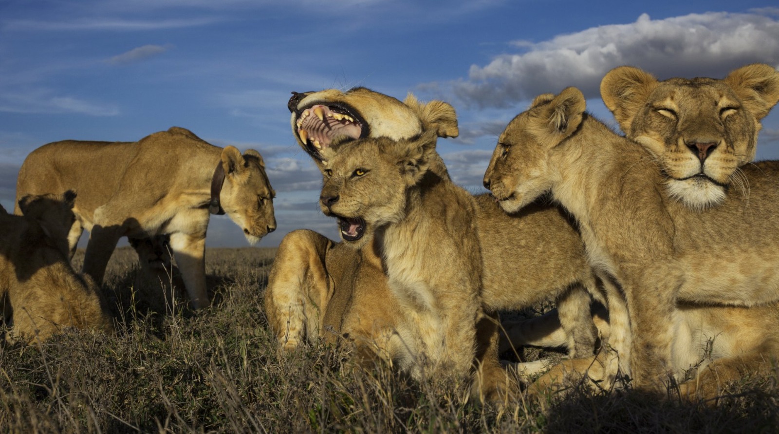 Day 6: NDUTU SERENGETI SIDE | OVERNIGHT 